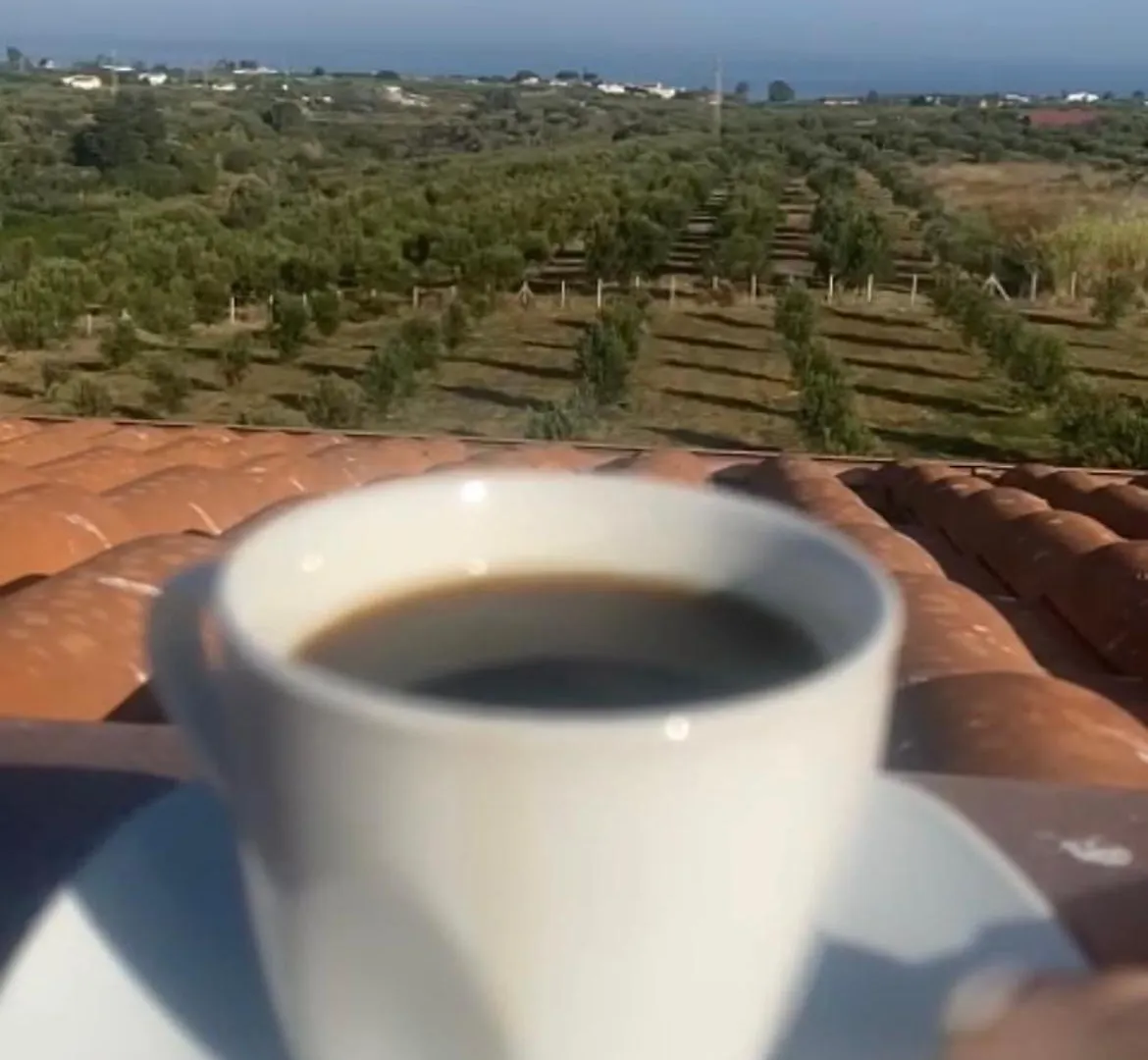 Casa Vacanze Muzzicato Partinico Apartment